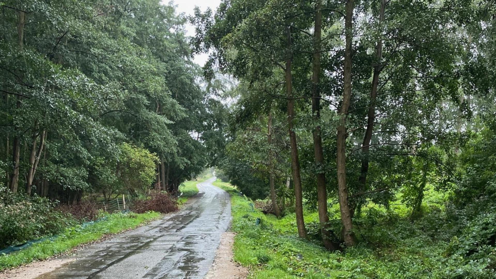 Horizontalspülbohrverfahren